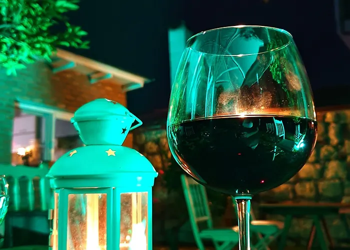 호텔 Satsuma Butik *