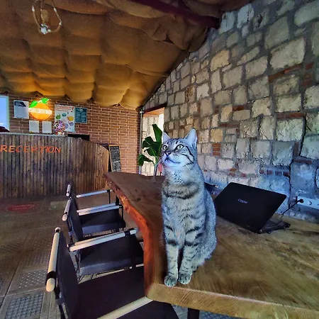 Satsuma Butik Hotel *